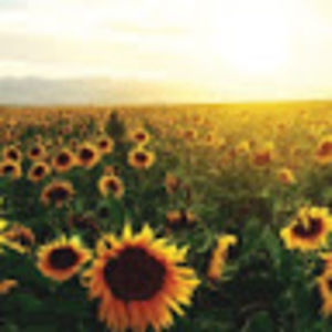 Meet your Posher, Abigail